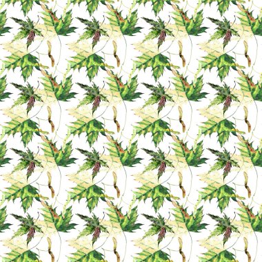 Güzel parlak grafik ihale bitkisel çiçek sonbahar yeşil ve sarı akçaağaç desen suluboya el illüstrasyon bırakır. Tekstil, duvar kağıtları, ambalaj kağıdı, tebrik kartı için mükemmel