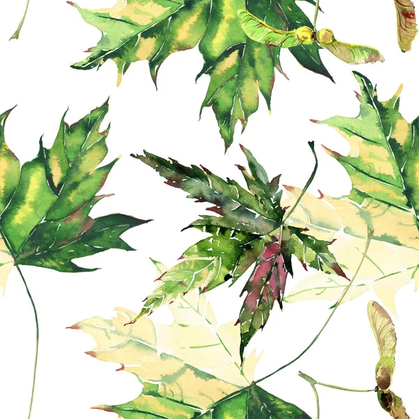 Красиві яскраві графічні ніжні трав'яні квіткові осінні зелені та жовті кленові листя візерунок аквареллю ручної ілюстрації. Ідеально підходить для текстилю, шпалер, обгорткового паперу, вітальної листівки — стокове фото