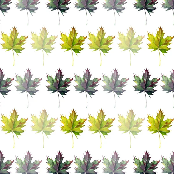 Прекрасний красивий графічний художній абстрактний яскравий квітковий трав'яний осінній зелений клен листя візерунок аквареллю ручний ескіз. Ідеально підходить для текстилю, шпалер, обгорткового паперу, карт, запрошень — стокове фото