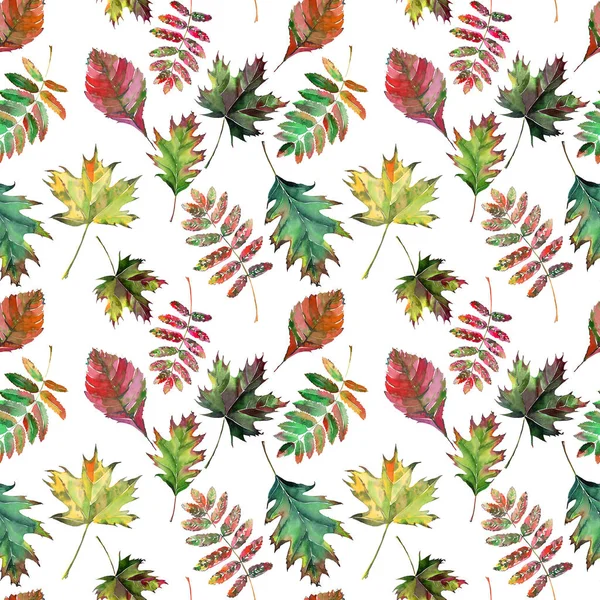 Prachtige mooie schattige prachtige grafische heldere bloemen kruiden herfst rood oranje groen gele maple rowan verlaat patroon aquarel hand schets — Stockfoto