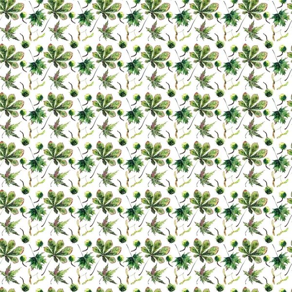 Hermoso gráfico maravilloso brillante floral herbal otoño verde arce castaño hojas y castañas patrón acuarela boceto de la mano. Perfecto para textiles, papeles pintados, papel de envolver —  Fotos de Stock