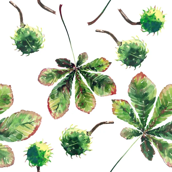 Прекрасне графічне яскраве квіткове трав'яне осіннє зелене кленове листя каштана та візерунок з каштанами акварельний ескіз рук. Ідеально підходить для текстилю, шпалер, обгорткового паперу — стокове фото