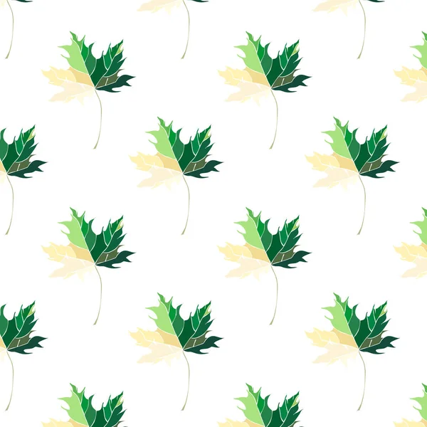 Krásné krásné grafické umělecké abstraktní světlé květinové bylinné podzimní zelené javorové listy vzorek vektorové ilustrace. Ideální pro textil, tapety, balicí papír, karty, pozvánky — Stockový vektor
