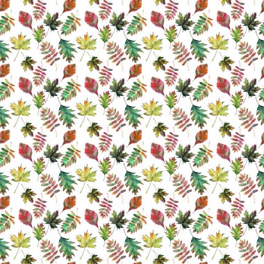 Güzel güzel şirin harika grafik parlak çiçek bitkisel sonbahar kırmızı turuncu yeşil sarı akçaağaç rowan desen suluboya el kroki bırakır. Tekstil, duvar kağıtları, kağıt sarma için mükemmel