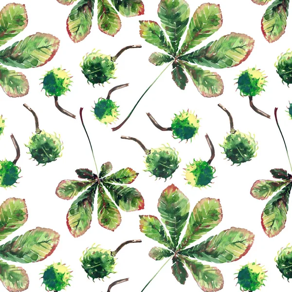 Güzel harika grafik parlak çiçek bitkisel sonbahar yeşil akçaağaç kestane yaprakları ve kestane desen suluboya el kroki. Tekstil, duvar kağıtları, kağıt sarma için mükemmel