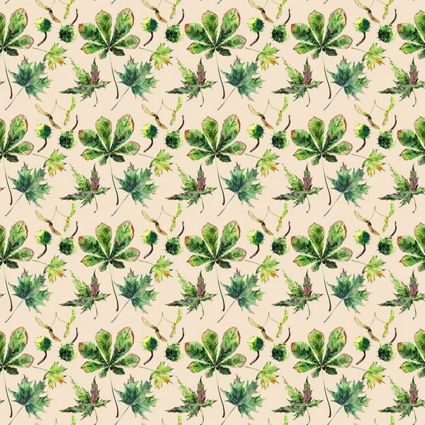 Güzel şirin güzel ihale harika grafik parlak çiçek bitkisel sonbahar yeşil kırmızı sarı turuncu akçaağaç rowan yaprakları ve kestane desenine bej pastel arka plan suluboya el çizimi