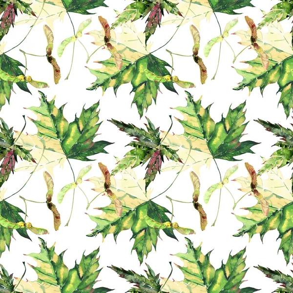 Güzel parlak grafik ihale bitkisel çiçek sonbahar yeşil ve sarı akçaağaç desen suluboya el illüstrasyon bırakır. Tekstil, duvar kağıtları, ambalaj kağıdı, tebrik kartı için mükemmel