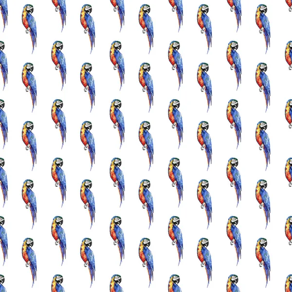 Bright colorful cute beautiful jungle tropical yellow and blue big tropical parrots diagonal pattern watercolor hand illustration. Perfect for greetings card, textile, wallpapers — Stock Photo, Image