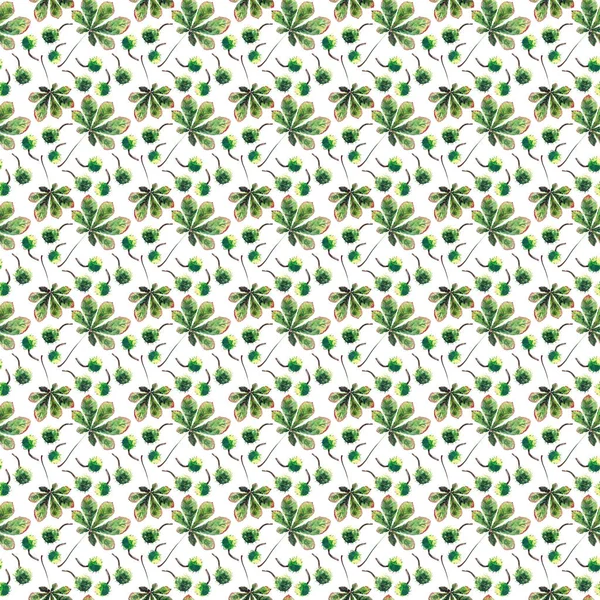 Magnifique graphique lumineux floral à base de plantes automne vert érable feuilles de châtaignier et châtaignes motif aquarelle croquis à la main. Parfait pour le textile, papiers peints, papier d'emballage — Photo