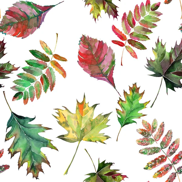 Prachtige mooie schattige prachtige grafische heldere bloemen kruiden herfst rood oranje groen gele maple rowan verlaat patroon aquarel hand schets. Perfect voor textiel, behang, inpakpapier — Stockfoto