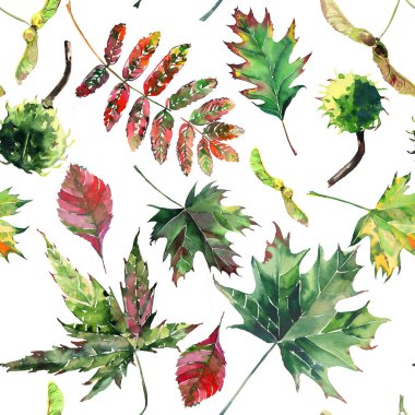 Güzel güzel şirin harika grafik parlak çiçek bitkisel sonbahar kırmızı turuncu yeşil sarı akçaağaç rowan desen suluboya el kroki bırakır. Tekstil, duvar kağıtları, kağıt sarma için mükemmel