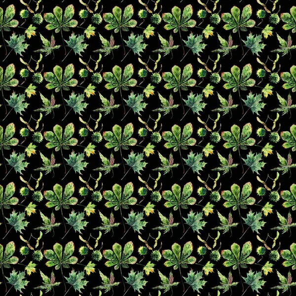 Прекрасний графічний яскравий квітковий трав'яний осінній зелений кленовий каштановий лист і візерунок з каштанами на чорному тлі акварельного ескізу рук. Ідеально підходить для текстилю, шпалер, обгорткового паперу — стокове фото