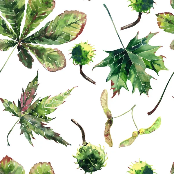 Hermoso gráfico maravilloso brillante floral herbal otoño verde arce castaño hojas y castañas patrón acuarela boceto de la mano. Perfecto para textiles, papeles pintados, papel de envolver —  Fotos de Stock