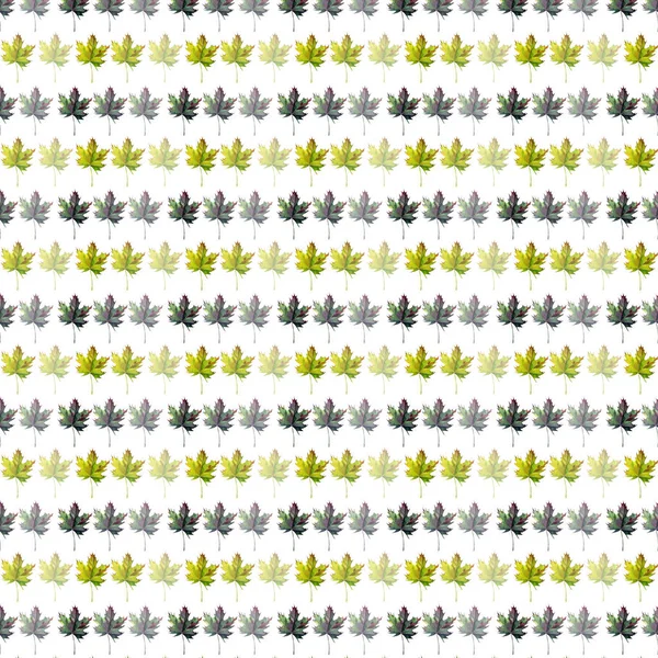 Прекрасне ніжне графічне художнє абстрактне яскраве квіткове трав'яне осіннє зелене і жовте кленове листя візерунок акварельний ручний ескіз — стокове фото