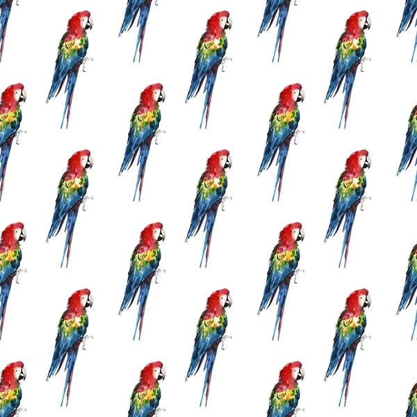 Světlé barevné krásné krásné propracované tropické džungle žlutá, zelená, červená a modrá velké tropické papoušky vzor diagonální vzor akvarel ruka ilustrace — Stock fotografie