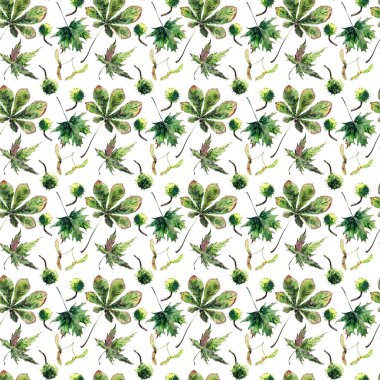 Güzel harika grafik parlak çiçek bitkisel sonbahar yeşil akçaağaç kestane yaprakları ve kestane desen suluboya el kroki. Tekstil, duvar kağıtları, kağıt sarma için mükemmel