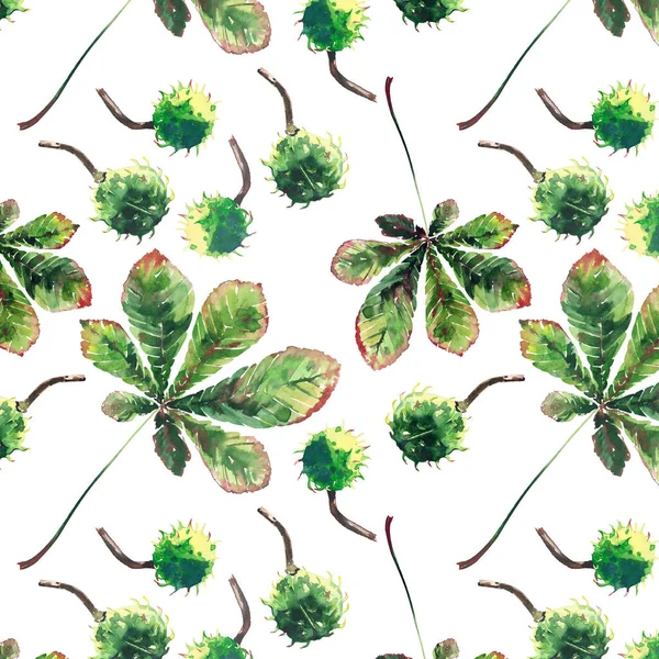 Güzel harika grafik parlak çiçek bitkisel sonbahar yeşil akçaağaç kestane yaprakları ve kestane desen suluboya el kroki. Tekstil, duvar kağıtları, kağıt sarma için mükemmel