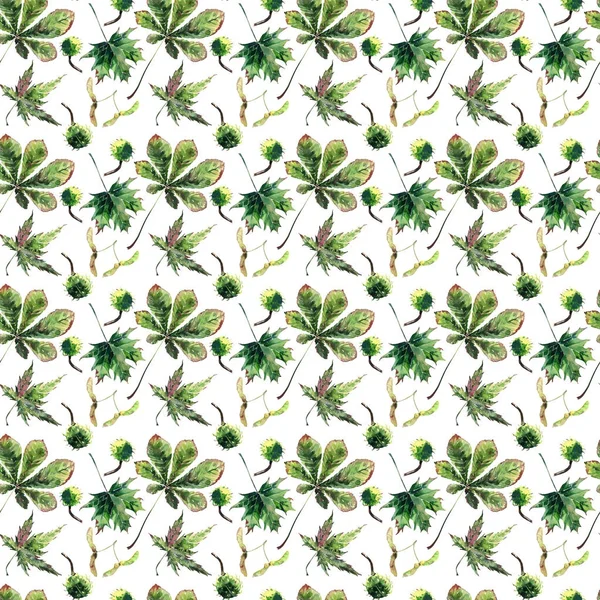 Güzel harika grafik parlak çiçek bitkisel sonbahar yeşil akçaağaç kestane yaprakları ve kestane desen suluboya el kroki. Tekstil, duvar kağıtları, kağıt sarma için mükemmel