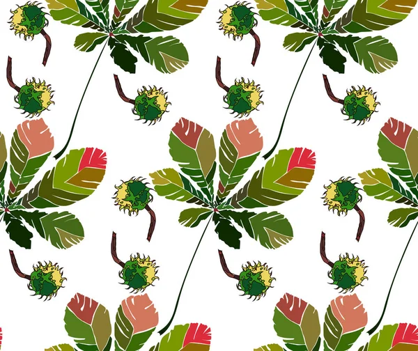 Güzel harika grafik parlak çiçek bitkisel sonbahar yeşil kestane yaprakları ve kestane desen vektör çizim. Tekstil, duvar kağıtları, ambalaj kağıdı, tebrik kartları için mükemmel