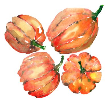 Grafik Sanat soyut parlak sevimli sonbahar olgun lezzetli renkli Cadılar Bayramı turuncu kabak desen suluboya el resimde. Tekstil, duvar kağıtları, tebrik kartı, arka planlar için mükemmel