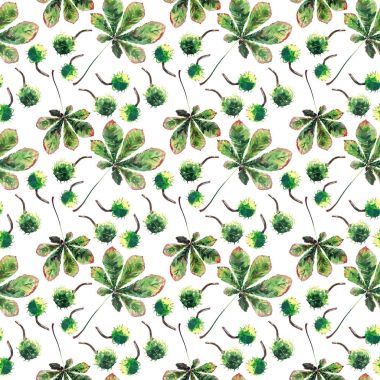 Güzel harika grafik parlak çiçek bitkisel sonbahar yeşil akçaağaç kestane yaprakları ve kestane desen suluboya el kroki. Tekstil, duvar kağıtları, kağıt sarma için mükemmel