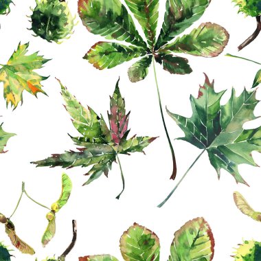 Güzel güzel şirin harika grafik parlak çiçek bitkisel sonbahar kırmızı turuncu yeşil sarı akçaağaç rowan desen suluboya el kroki bırakır. Tekstil, duvar kağıtları, kağıt sarma için mükemmel