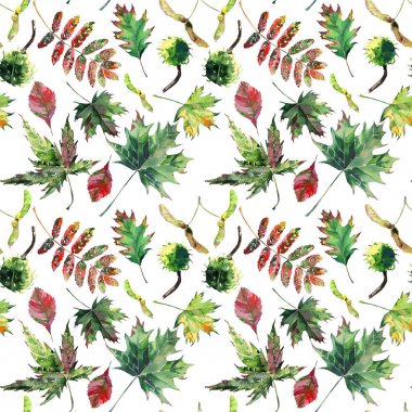 Güzel güzel şirin harika grafik parlak çiçek bitkisel sonbahar kırmızı turuncu yeşil sarı akçaağaç rowan desen suluboya el kroki bırakır. Tekstil, duvar kağıtları, kağıt sarma için mükemmel