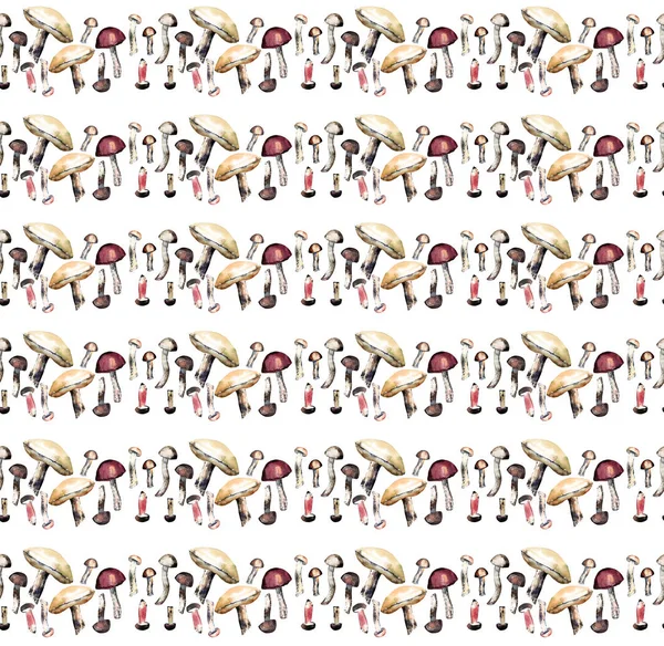 Grafik parlak renkli yaz Sonbahar kahverengi sarı pastel mantar suluboya el illüstrasyon model. Tekstil, duvar kağıtları, kartları için mükemmel