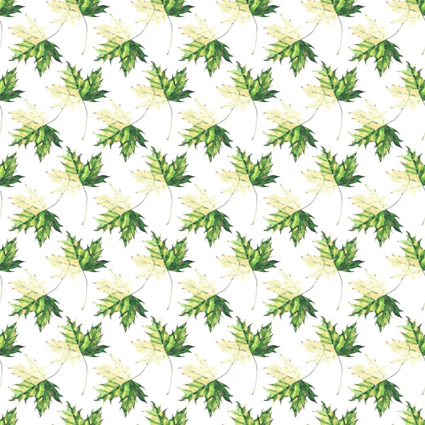Piękne jasne graficzne przetargu ziołowe kwiatowy zielony i żółty mianuję wzór dłoń akwarela ilustracja. Idealny dla tekstylnych, Tapety, papier pakowy, z życzeniami — Zdjęcie stockowe