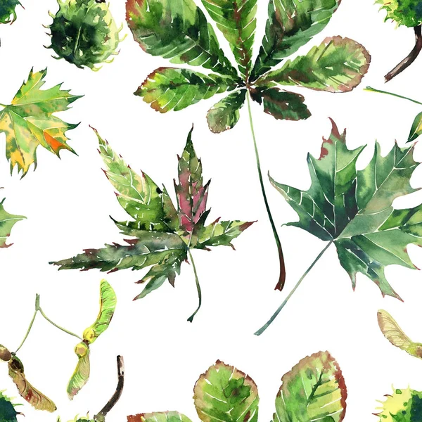 Güzel güzel şirin harika grafik parlak çiçek bitkisel sonbahar kırmızı turuncu yeşil sarı akçaağaç rowan desen suluboya el kroki bırakır. Tekstil, duvar kağıtları, kağıt sarma için mükemmel