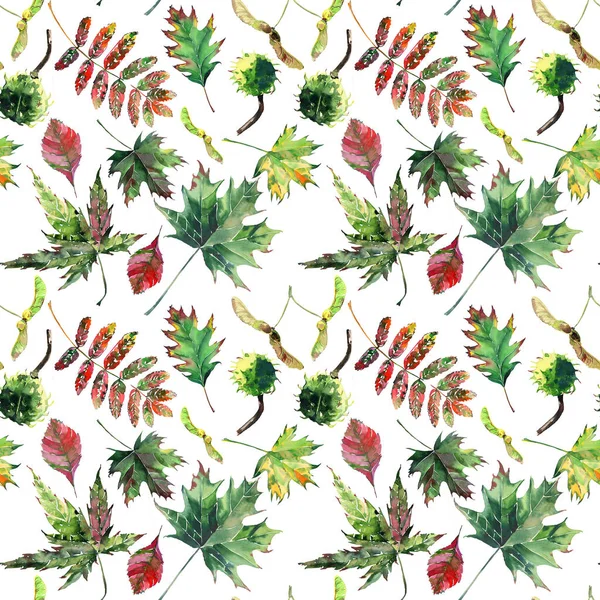 Güzel güzel şirin harika grafik parlak çiçek bitkisel sonbahar kırmızı turuncu yeşil sarı akçaağaç rowan desen suluboya el kroki bırakır. Tekstil, duvar kağıtları, kağıt sarma için mükemmel