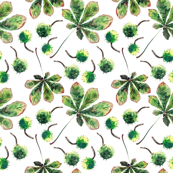 Mooie prachtige grafische helder floral kruiden groene esdoorn kastanjekleurige herfstbladeren en kastanjes patroon aquarel hand schets. Perfect voor textiel, behang, inpakpapier — Stockfoto