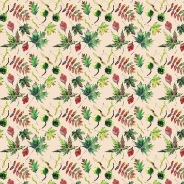 Güzel güzel şirin harika grafik parlak çiçek bitkisel sonbahar kırmızı turuncu yeşil sarı akçaağaç rowan desen pastel arka plan suluboya el çizimi üzerinde bırakır.