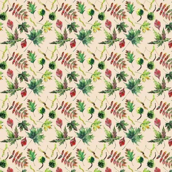Όμορφη όμορφη χαριτωμένο εξαιρετικό γραφικών φωτεινά floral φυτικά φθινόπωρο κόκκινο πορτοκαλί πράσινο κίτρινο maple rowan αφήνει μοτίβο σε παστέλ φόντο εικόνα ακουαρέλα χέρι — Φωτογραφία Αρχείου