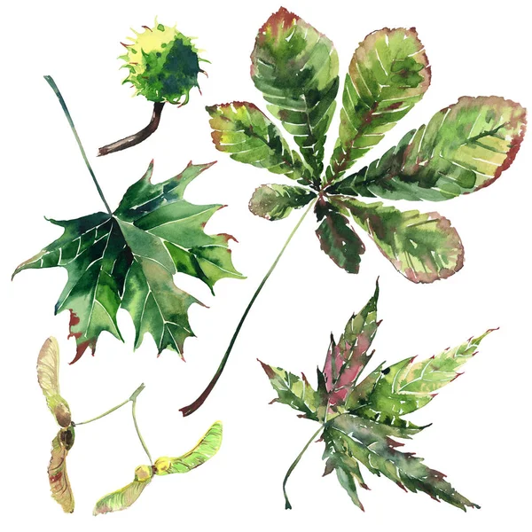 Όμορφη όμορφη χαριτωμένο εξαιρετικό γραφικών φωτεινά floral φυτικά φθινόπωρο κόκκινο πορτοκαλί πράσινο κίτρινο maple rowan φύλλα μοτίβο ακουαρέλα χέρι σκίτσο. Ιδανική λύση για υφάσματα, ταπετσαρίες, χαρτί περιτυλίγματος — Φωτογραφία Αρχείου