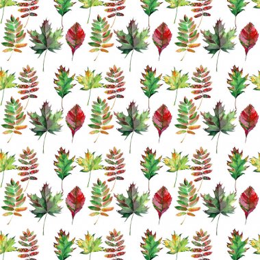 Güzel güzel şirin harika grafik parlak çiçek bitkisel sonbahar kırmızı turuncu yeşil sarı akçaağaç rowan desen suluboya el kroki bırakır. Tekstil, duvar kağıtları, kağıt sarma için mükemmel