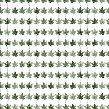 Desen suluboya el kroki güzel ihale nazik grafik sanatsal soyut parlak çiçek bitkisel sonbahar yeşil akçaağaç yaprakları