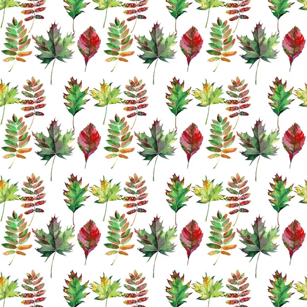 Schöne schöne niedliche wunderbare Grafik helle florale Kräuter Herbst rot orange grün gelb Ahorn Blätter Muster Aquarell Handskizze. perfekt für Textilien, Tapeten, Packpapier — Stockfoto