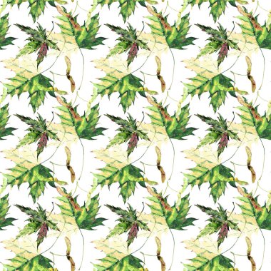 Güzel parlak grafik ihale bitkisel çiçek sonbahar yeşil ve y