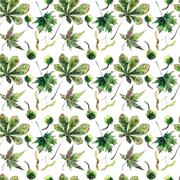 Piękne fantastyczny graficzny jasny kwiatowy ziołowe jesień zielony ma — Zdjęcie stockowe