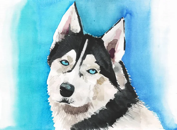 Jul konstnärliga underbara ljusa semester vinter vilda Sibirien Skalliknande hunden på blå bakgrund akvarell hand illustration. Perfekt för textil, tapeter, bakgrunder och hälsningar kort — Stockfoto