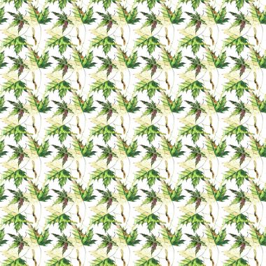 Güzel parlak grafik ihale bitkisel çiçek sonbahar yeşil ve sarı akçaağaç desen suluboya el illüstrasyon bırakır. Tekstil, duvar kağıtları, ambalaj kağıdı, tebrik kartı için mükemmel