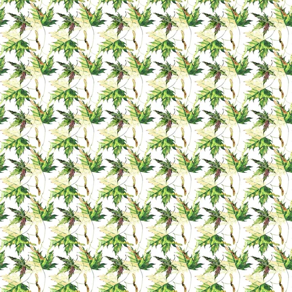 Hermosa gráfica brillante tierna hierba floral otoño verde y amarillo arce hojas patrón acuarela mano ilustración. Perfecto para textiles, fondos de pantalla, papel de embalaje, tarjeta de felicitaciones —  Fotos de Stock