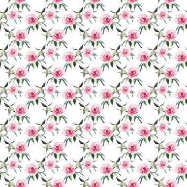 Güzel ihale nazik sofistike harika güzel şirin bahar çiçek bitki botanik kırmızı toz pembe güller yeşil yaprakları desen suluboya el kroki ile