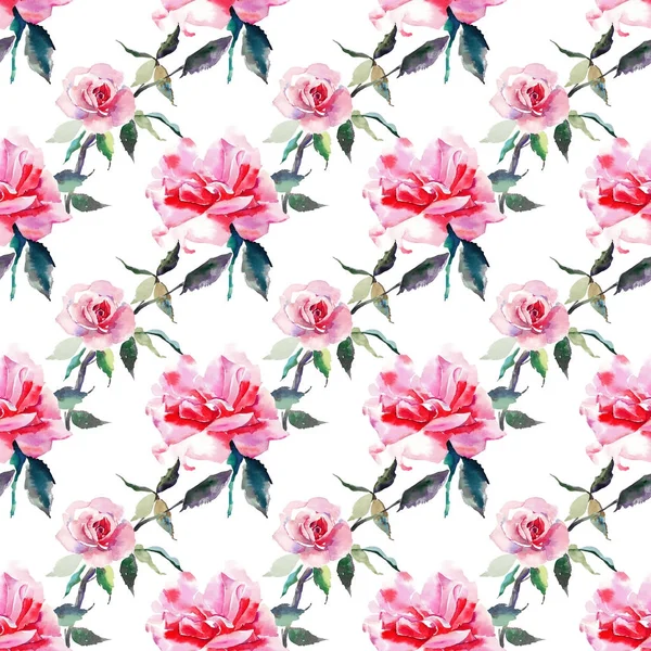 美しい柔らかい穏やかな洗練された素晴らしい素敵なかわいい春の花ハーブ植物赤粉末ピンクのバラを緑の葉パターン水彩手スケッチ — ストック写真