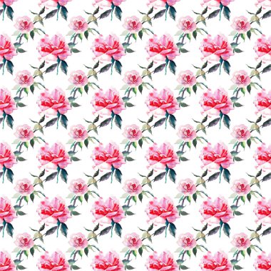 Güzel ihale nazik sofistike harika güzel şirin bahar çiçek bitki botanik kırmızı toz pembe güller yeşil yaprakları desen suluboya el kroki ile. Tebrik kartı, tekstil, duvar kağıtları için. 