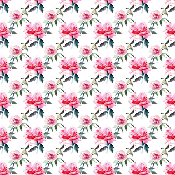 美しい入札穏やかな洗練された素晴らしい素敵なかわいい春の花ハーブ植物赤粉末ピンクのバラを緑の葉パターン水彩手スケッチ グリーティング カード テキスタイル — ストック写真