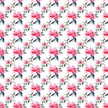 Güzel ihale nazik sofistike harika güzel şirin bahar çiçek bitki botanik kırmızı toz pembe güller yeşil yaprakları desen suluboya el kroki ile. Tebrik kartı, tekstil, duvar kağıtları için. 