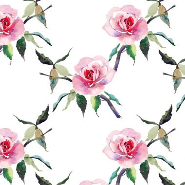 Güzel ihale nazik sofistike harika güzel şirin bahar çiçek bitki botanik kırmızı toz pembe güller yeşil yaprakları desen suluboya el kroki ile. Tebrik kartı, tekstil, duvar kağıtları için. 