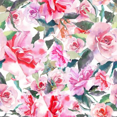 Güzel ihale nazik sofistike harika güzel şirin bahar çiçek bitki botanik kırmızı toz pembe güller yeşil yaprakları desen suluboya el kroki ile. Tebrik kartı, tekstil, duvar kağıtları için. 